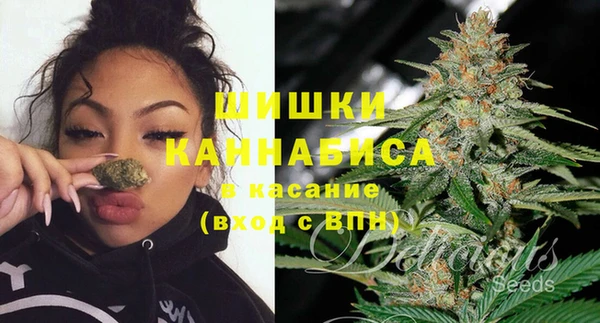 мяу мяу мука Абаза