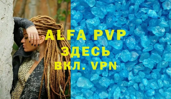 мяу мяу мука Абаза