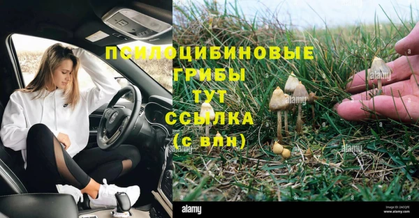 мяу мяу мука Абаза